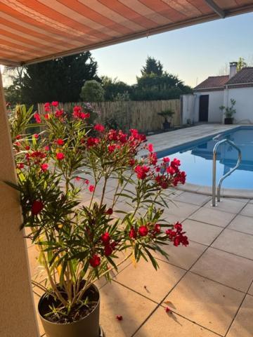 Lavardac Les Voyages De Louison Bed & Breakfast エクステリア 写真